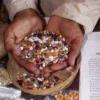 Indigenous Knowledge
