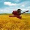 Alimentation et agriculture