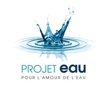 project flow logo