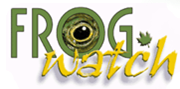 FrogWatch